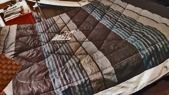 Alpaca Comforters 220-threads- stripes pattern_v1_sd