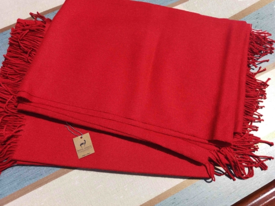 sd_red throw blanket 2222